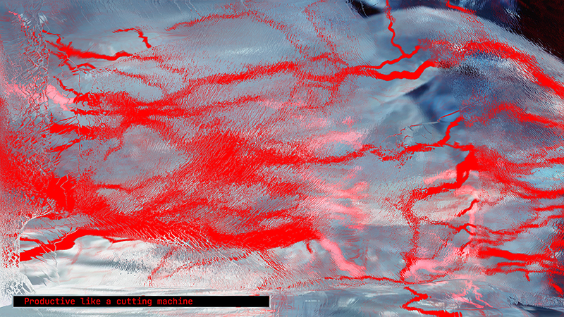 The Hidden Journal of Miss Entropy